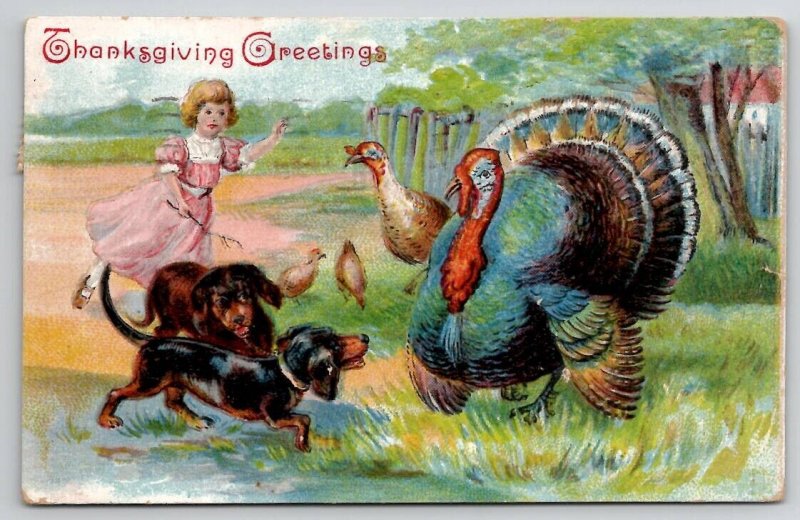 Thanksgiving Greetings Girl With Dogs And Turkey Postcard V22