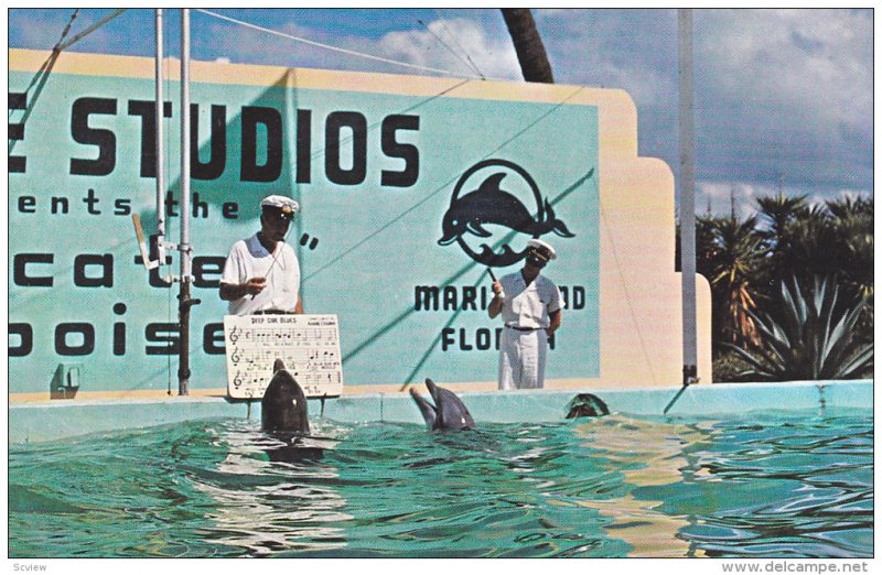 Dolphins Singing, Marineland, Oceanarium, ST. AUGUSTINE, Florida, 40-60's