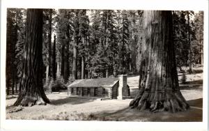 YOSEMITE NATIONAL PARK, CA California  MARIPOSA GROVE LOG CABIN c1940s  Postcard