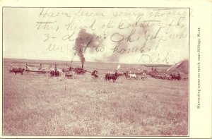 Harvesting Scene on Ranch Billings Montana Postcard Horse & Steam power 1909