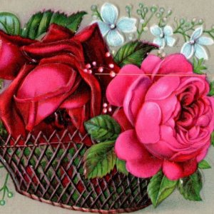 1880s-90s Embossed Victorian Trade Cards Roses In Baskets Lot Of 4 #6J