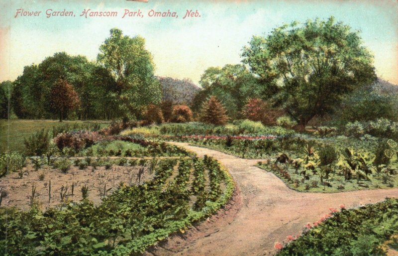 Vintage Postcard Flower Garden Hanscom Park Flower Landscape Omaha Nebraska NB