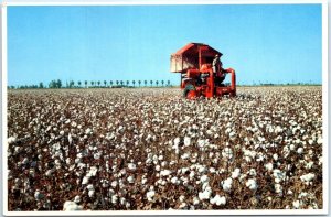 Postcard - Cotton, San Joaquin Valley - California