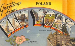 Greetings from Poland, New York Large Letter PU Unknown 