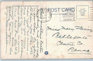 Orange Trees Loaded w/ Fruit Postcard Florida Postcard 1937