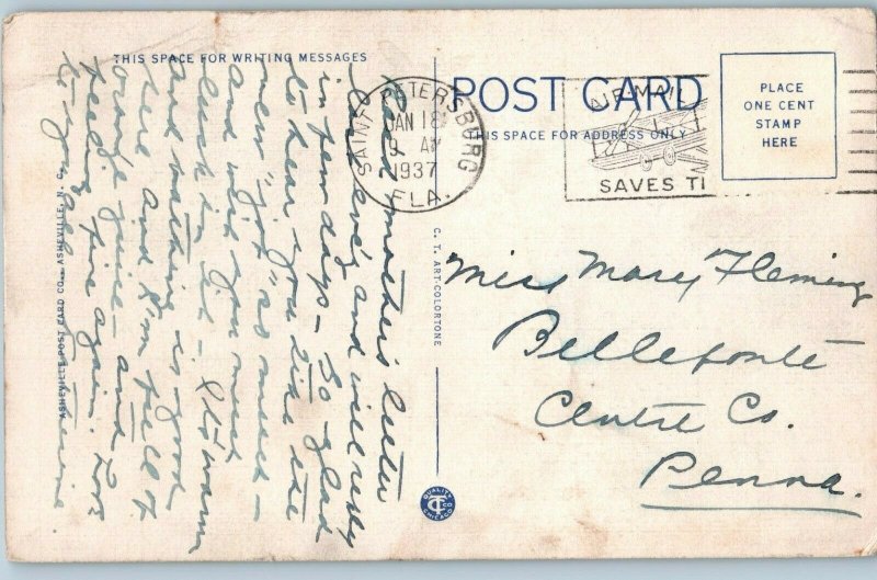 Orange Trees Loaded w/ Fruit Postcard Florida Postcard 1937