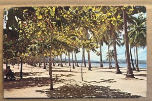 VINTAGE 1981 USED POSTCARD - LUQUILLO BEACH, LUQUILLO, PUERTO RICO