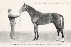 Joli Manoir La France Chevaline Race 1909 Horse Signed Old PB Postcard