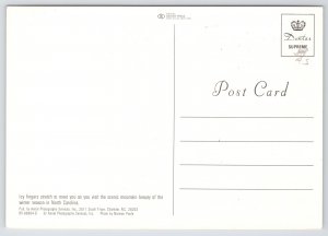 North Carolina~Winter on Pacolet River~Continental Postcard