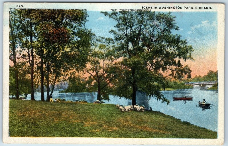 c1920s Chicago, IL Washington Park w/ Old Postcard Dealer Advertising Stamp A218