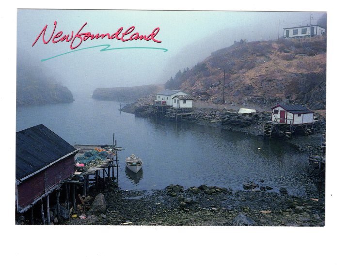 Quidi Vidi Harbour, Newfoundland, Large 5 X 7 Postcard