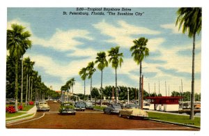 FL - St. Petersburg. Tropical Bayshore Drive