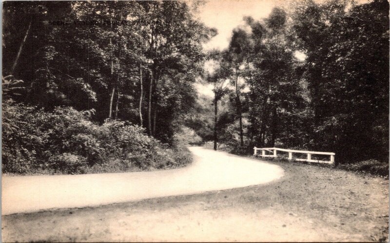 Scene Around Fuquay Springs North Carolina NC BW Antique Postcard Mayrose