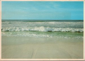 Panama City Beach FL Postcard PC401