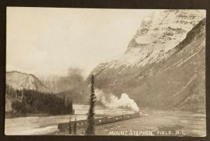 Mint Canada Mount Stephen Field British Columbia Railroad Real Picture Postcard