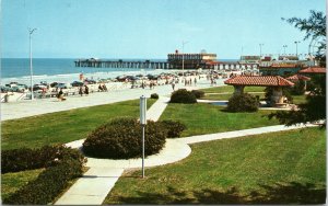 postcard Florida - Daytona Beach scene