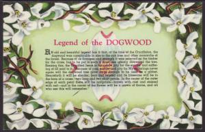 Legend of the Dogwood Postcard