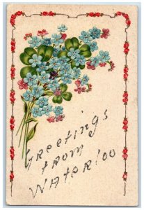 1907 Greetings From Flowers Leaf Glitter Waterloo Iowa Vintage Antique Postcard