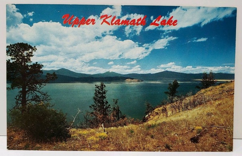 Upper Klamath Lake by Leo's Camera Shop Postcard A8