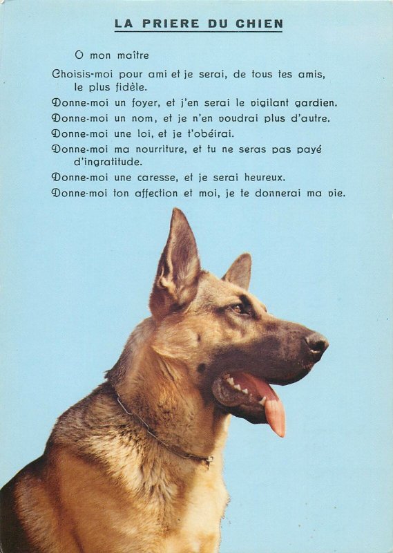 France dog german shepherd tongue postcard