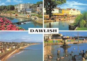 BR82006 dawlish devon   uk