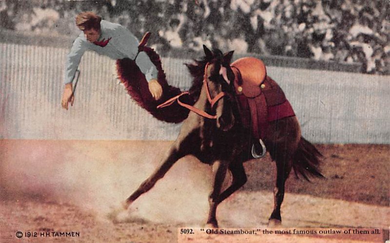 Old steamboat, the most famous outlaw of them all Cowboy Unused 