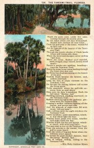 Vintage Postcard The Tamiami Trail Florida Palm Trees Pine Oaks And Vines FL 