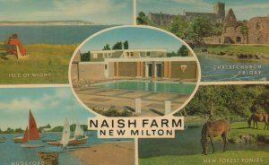 Naish Farm New Milton Hampshire 1970s Postcard