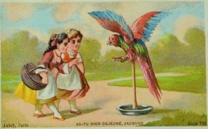 Lot Of 4 French Victorian Trade Cards Girls Paris Parrot Monkey Swan Goat P86