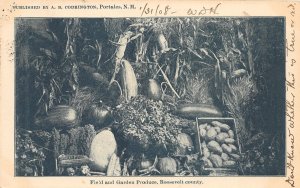 H17/ Portales New Mexico Postcard 1908 Roosevelt County Vegetable Produce