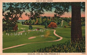 Vintage Postcard View Of Golf Course Sports Ground Drumlins Syracuse New York NY