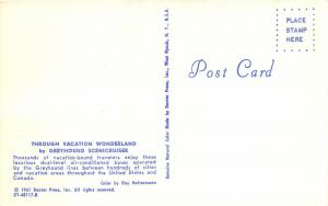 Greyhound Scenicruiser Bus 1961 Postcard