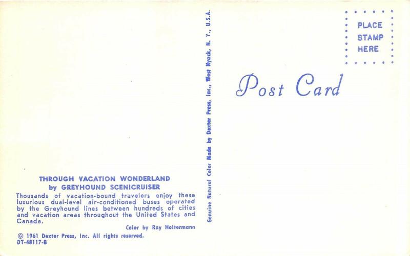 Greyhound Scenicruiser Bus 1961 Postcard