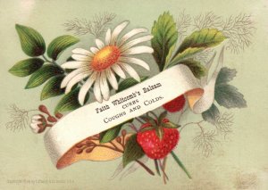 1880s-90s Strawberries & Flowers Faith Whitcomb's Balsam Coughs and Cold's