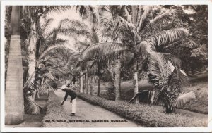 South Africa Palm Walk Botanical Gardens Durban Vintage RPPC 09.11