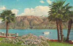 Switzerland Locarno Qual Vintage Postcard 02.19