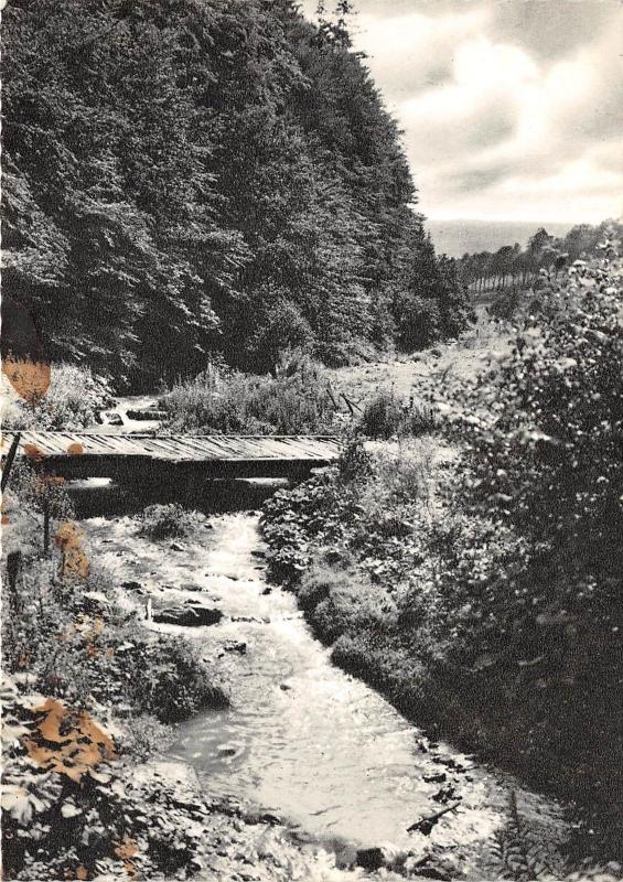 BG3578 willingen waldeck heilklimatischer  CPSM 15x9.5cm germany