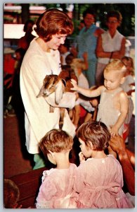 Vtg Peoria Illinois IL Pet Ring View Glen Oak Park Petting Zoo Postcard