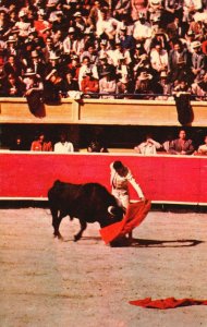 Vintage Postcard Bullfighting Matador R. Rodriguez Corrida De Toros Mexico DF MX