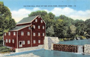 MUSCATINE, Iowa IA  ~ OLD PINE MILL Wild Cat Den State Park  ca1940's Postcard