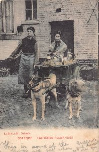 Belgium Laitieres flamandes Ostende Flemish Milk Maid Dog postcard B915