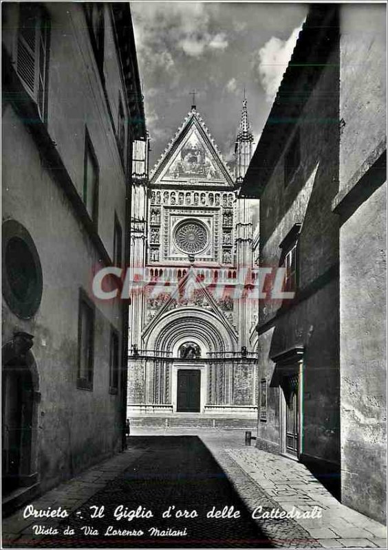 Postcard Modern Orvieto The Golden Lily of Cathedrals seen from the street Lo...