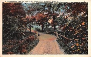 View of the Lane Sparrowbush, New York  