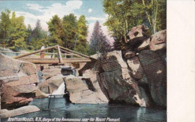 New Hampshire Bretton Woods Gorge Of The Ammonoosuc Near The Mount Pleasant