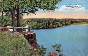 Adrian Michigan State Park~People @ Cedar Hill Viewing Lake~1937 Postcard