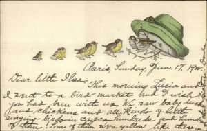 Pairs of Birds & Old Hat c1900 Lithograph Postcard