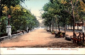 Gibraltar View In The Alameda Gardens