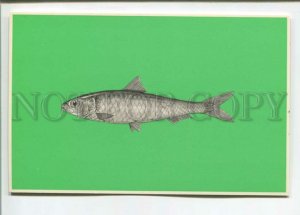 471312 USSR advertising of frozen fish for export Prodintorg Sardine Old