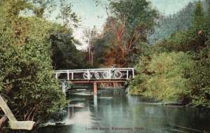 Kalamazoo Michigan MI, View Lovers Lane, Bridge Water Lake, Vintage Postcard