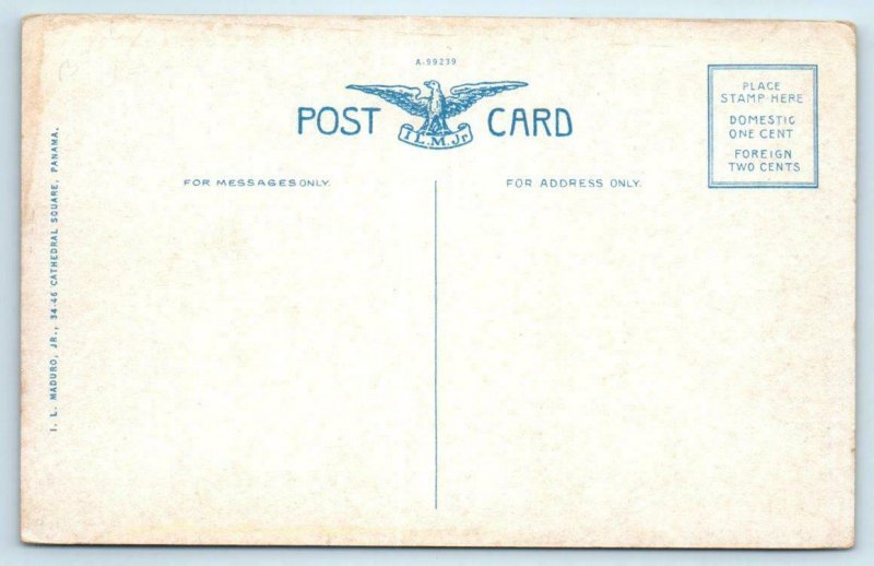 PANAMA CANAL ZONE ~ Trees GRAPEFRUIT ORCHARDS Farming c1910s-20s Postcard